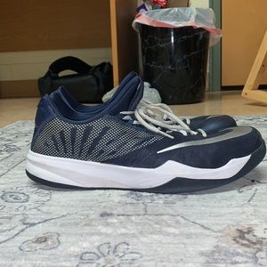 Nike Zoom Run The One Basketball shoes
